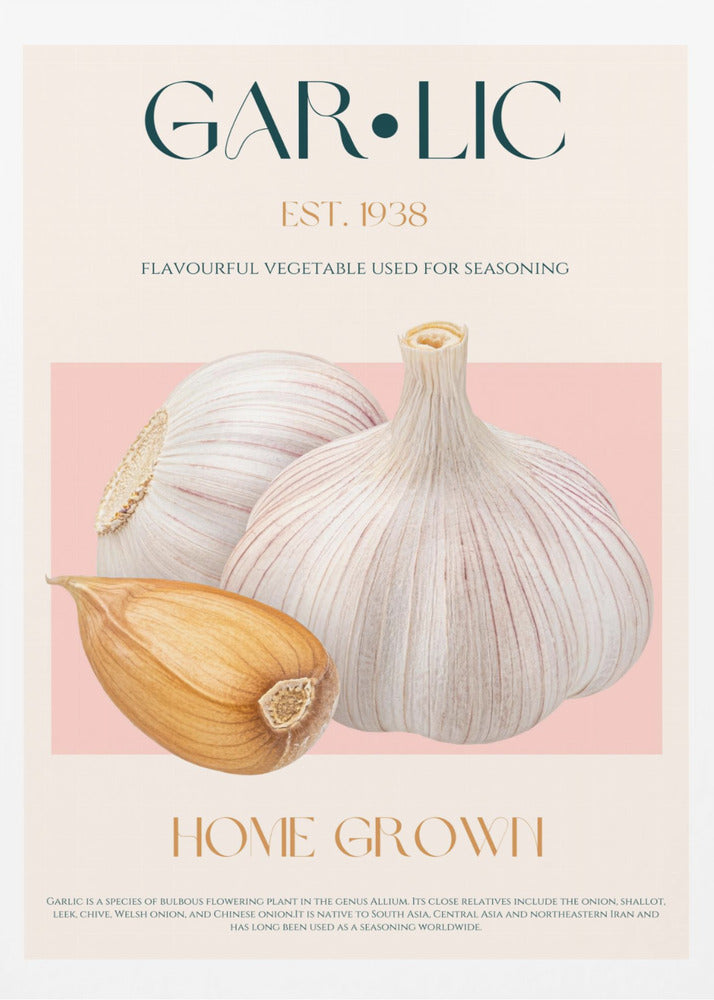 Garlic Essence | Poster
