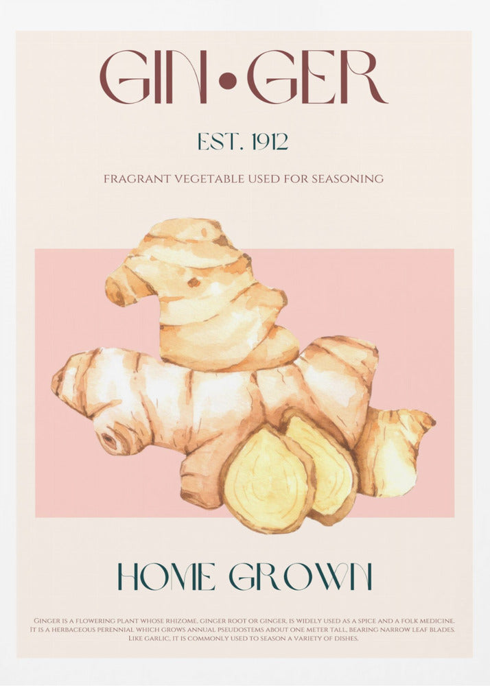 Watercolor illustration Of Ginger | Poster