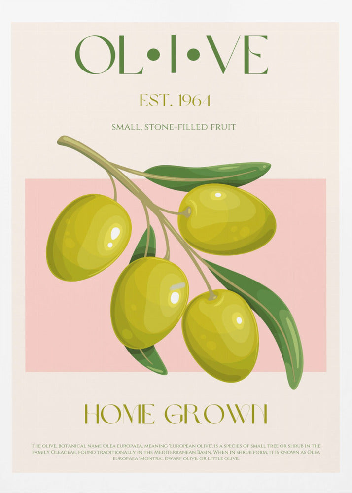 Essens av gyllene oliver | Poster