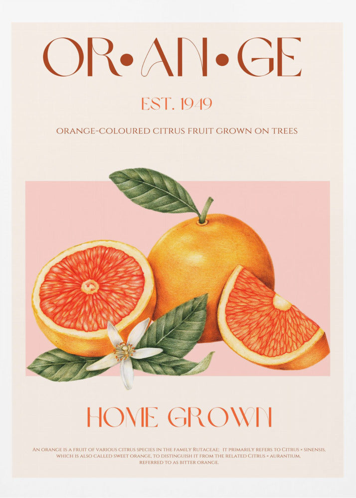 Vintage-themed With Vibrant Oranges | Poster