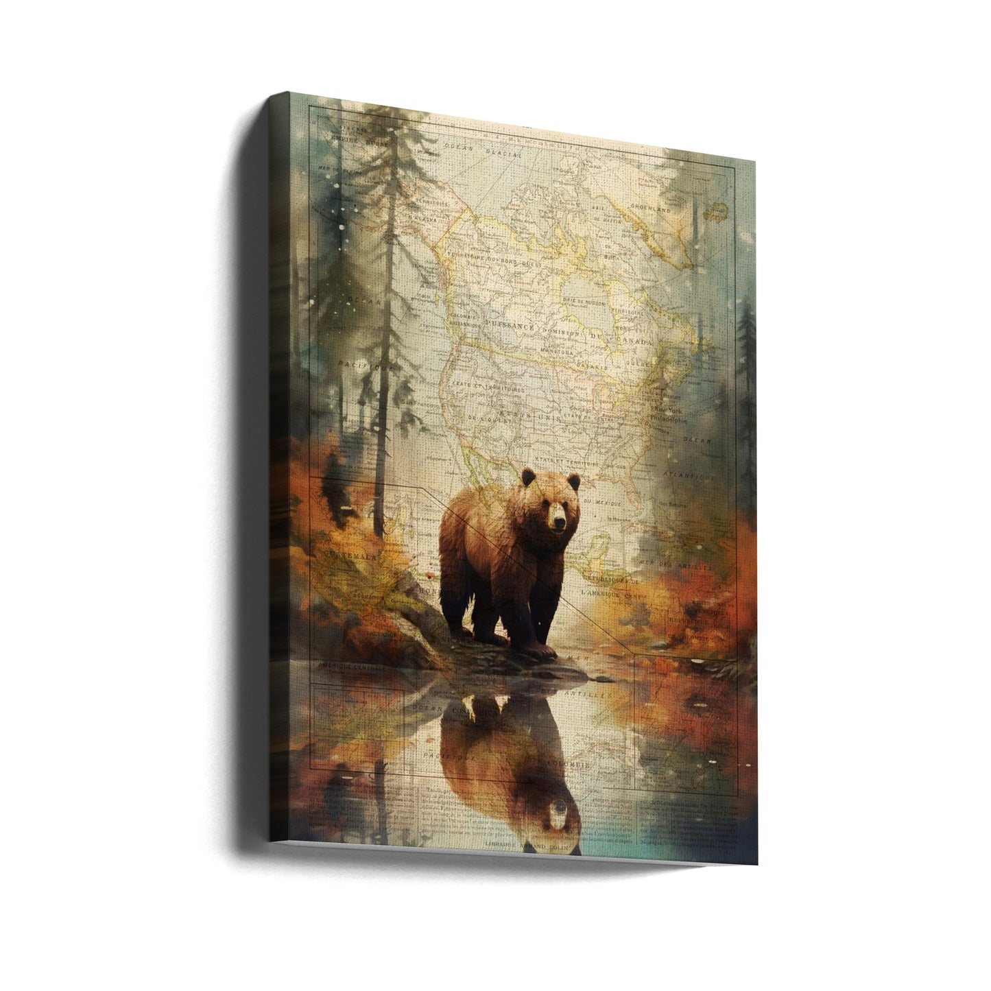 Orso grizzly 2 | Stampe su Tela