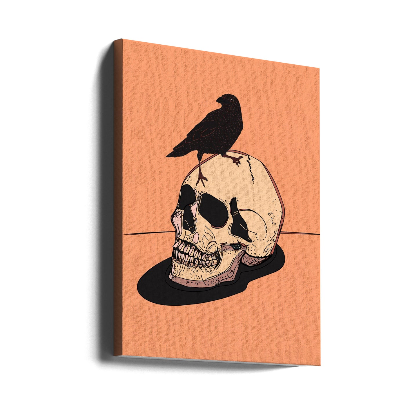 Skull And Raven | Canvas
