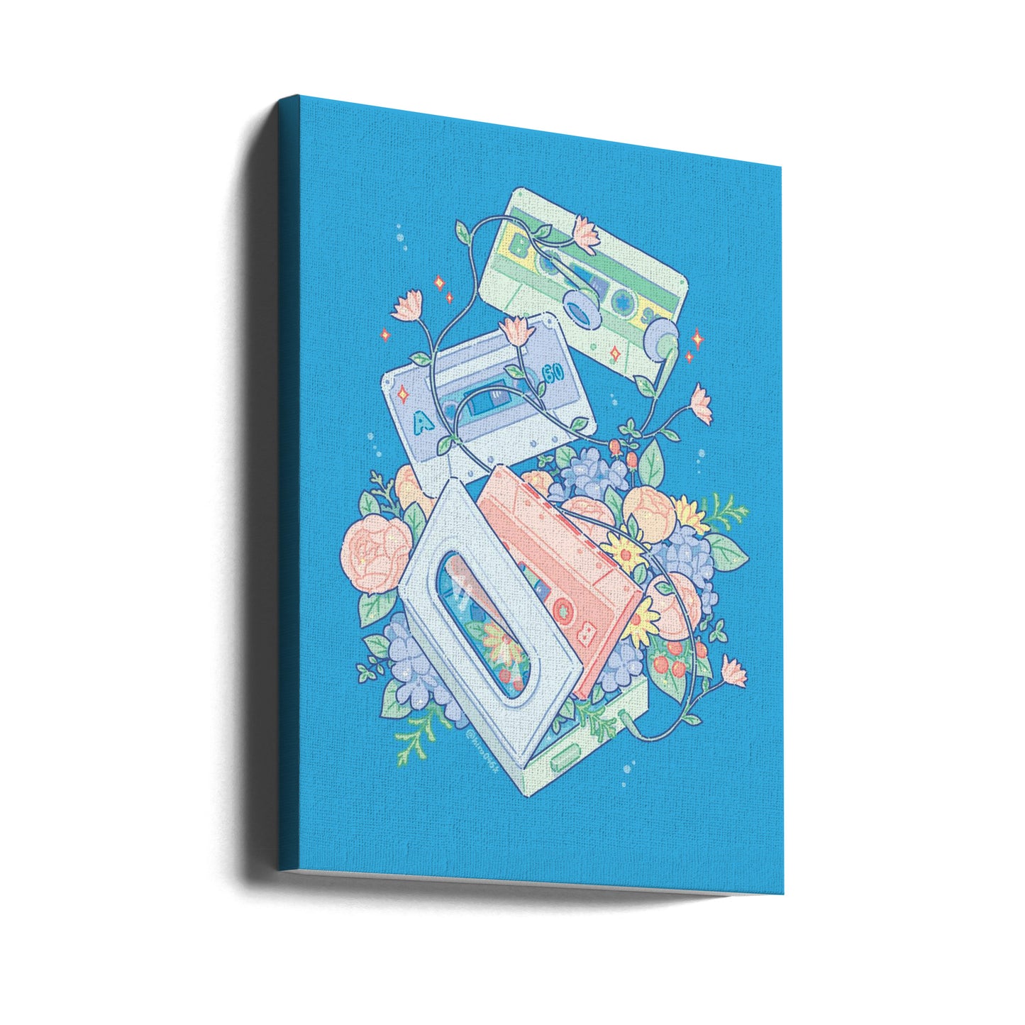 Cassette Tapes | Canvas
