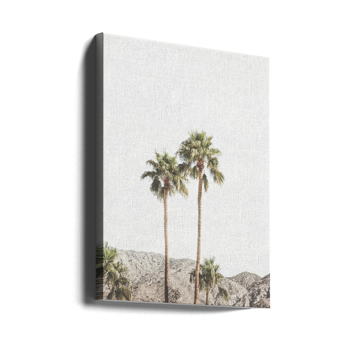 Palm Springs Palmer | Canvas
