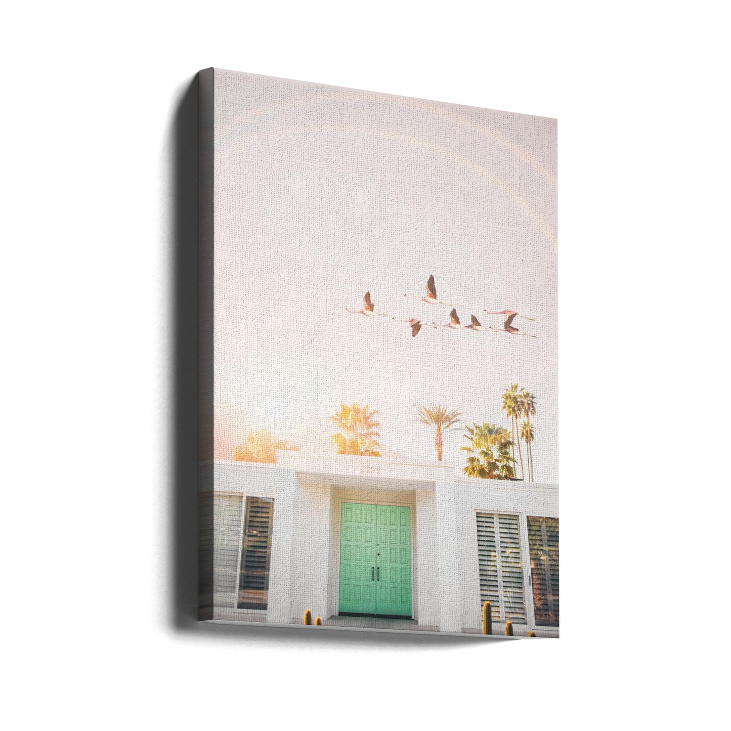 Flamingoer i Palm Springs | Lærredsbilleder
