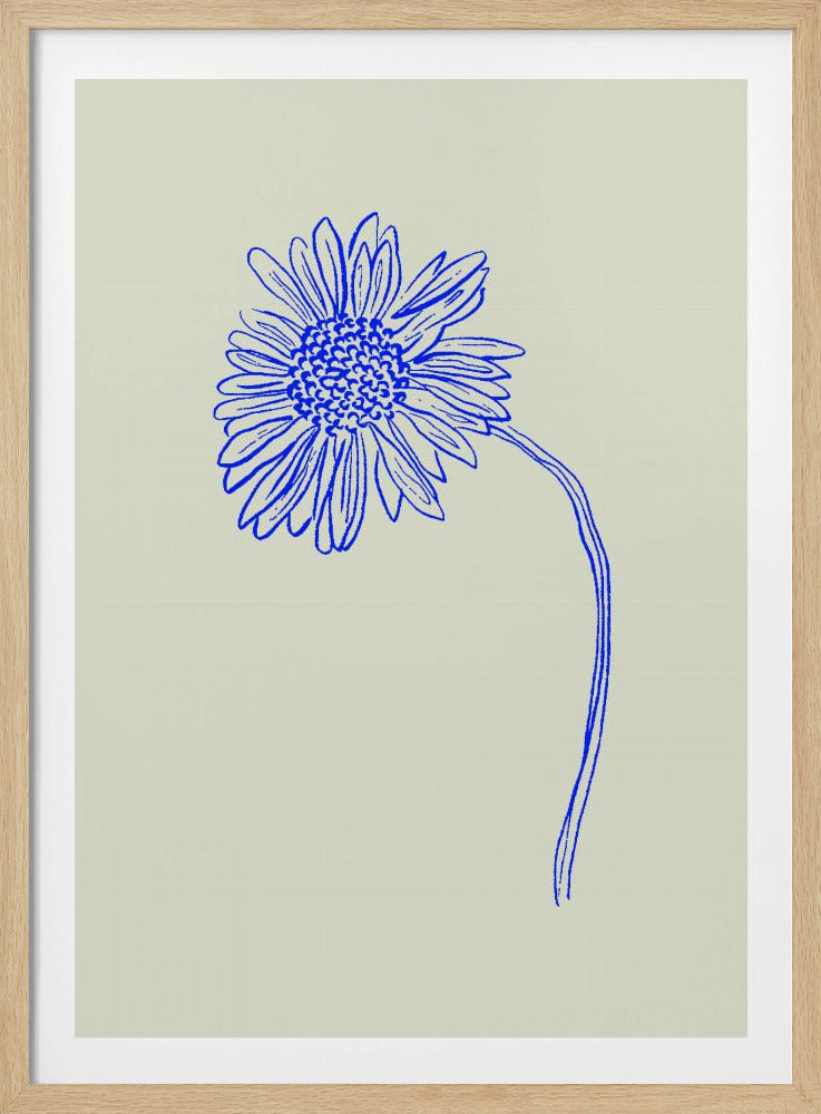 Blue Blossom Sketch | Poster