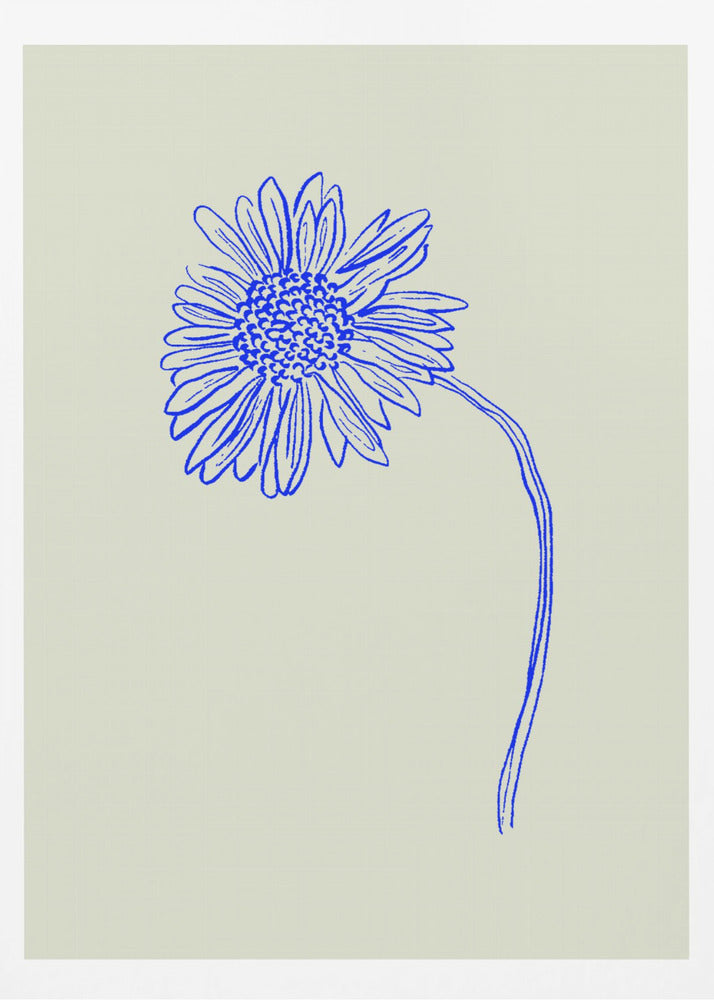 Blue Blossom Sketch | Poster