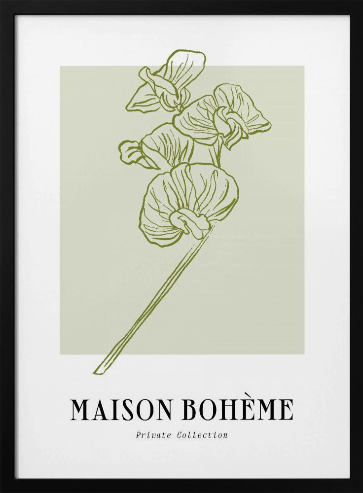 Elegant Blooms | Poster
