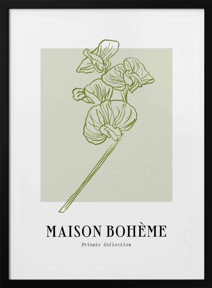 Elegant Blooms | Poster