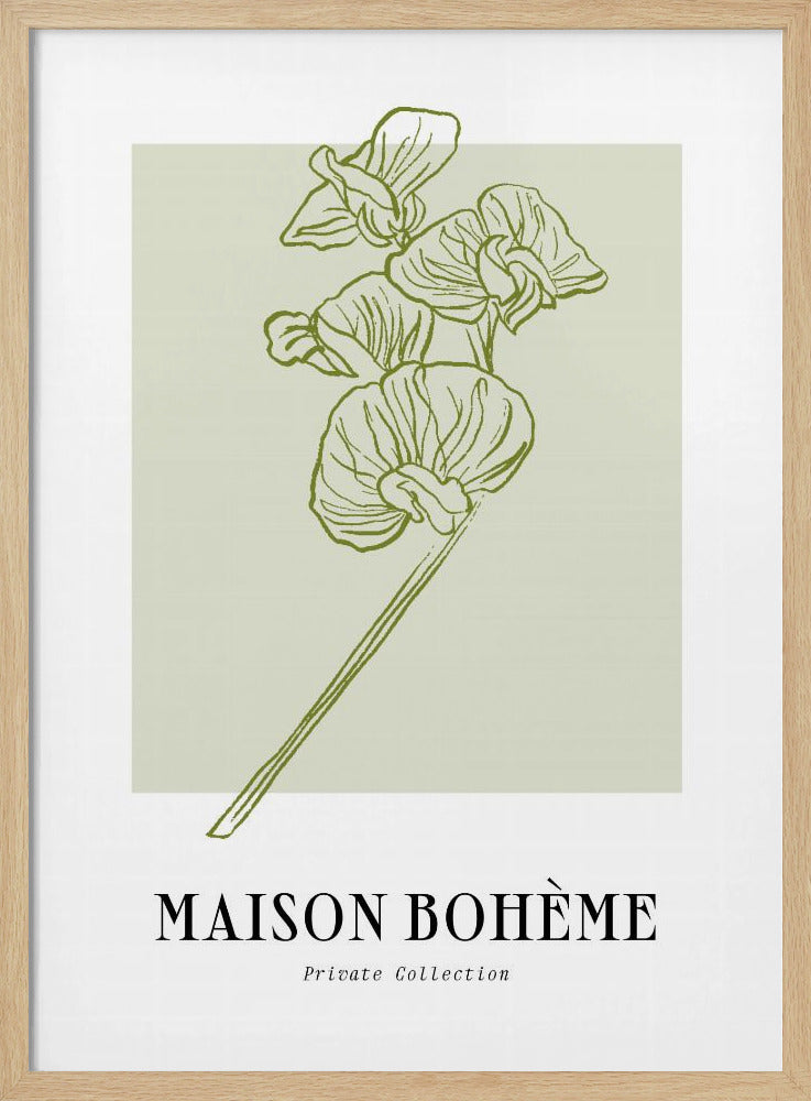Elegant Blooms | Poster