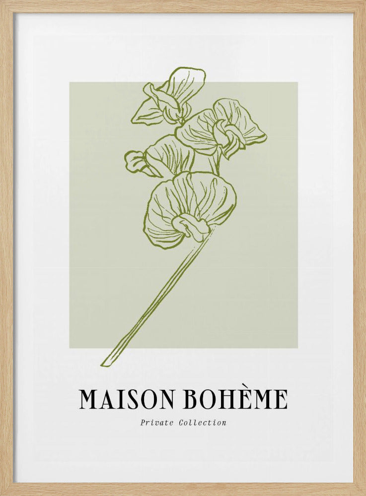 Elegant Blooms | Poster