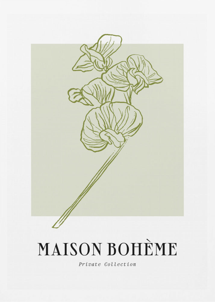 Elegant Blooms | Poster