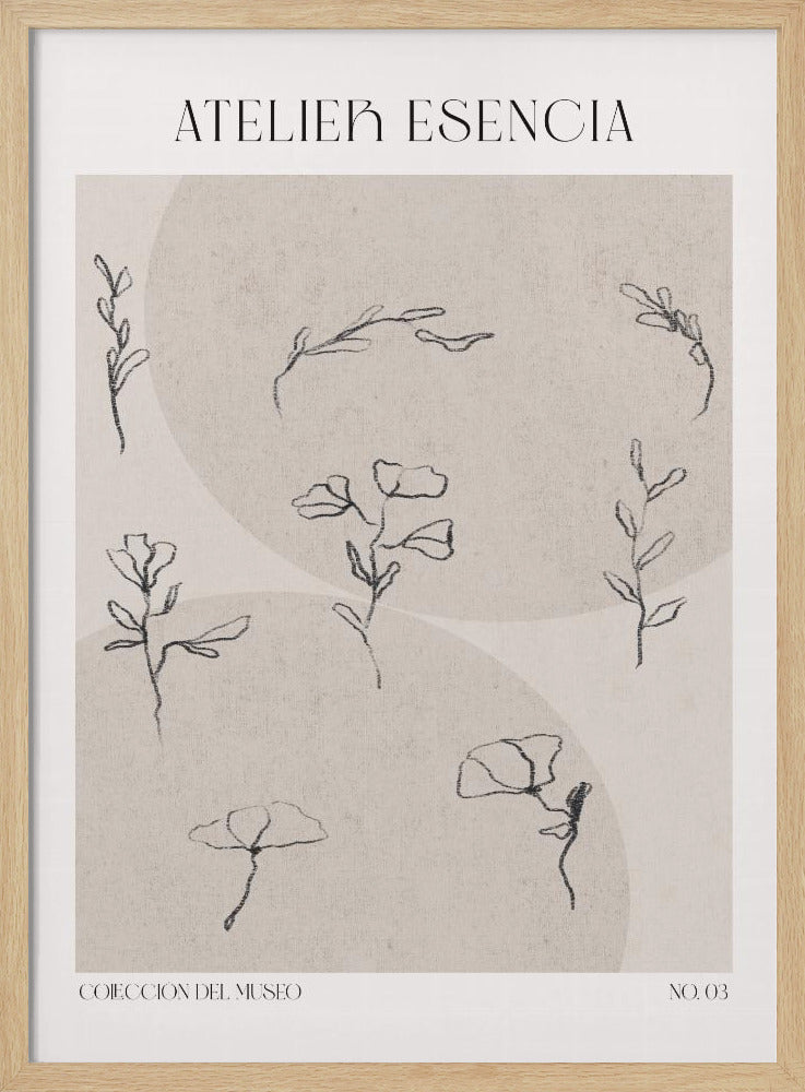 Delicate Blooms | Poster