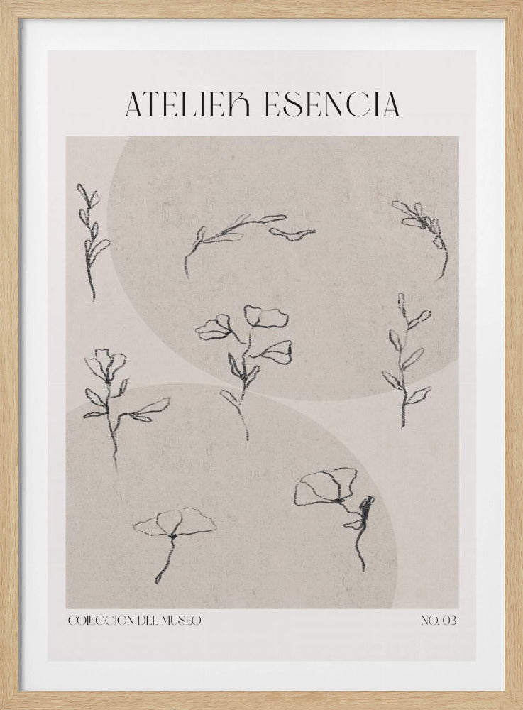 Delicate Blooms | Poster