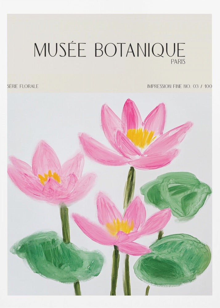 Museebotaniqueno05 | Poster