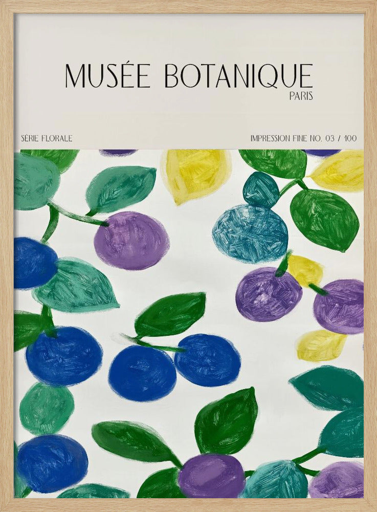 Museebotaniqueno11 | Poster