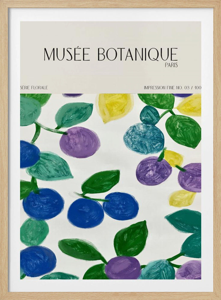 Museebotaniqueno11 | Poster