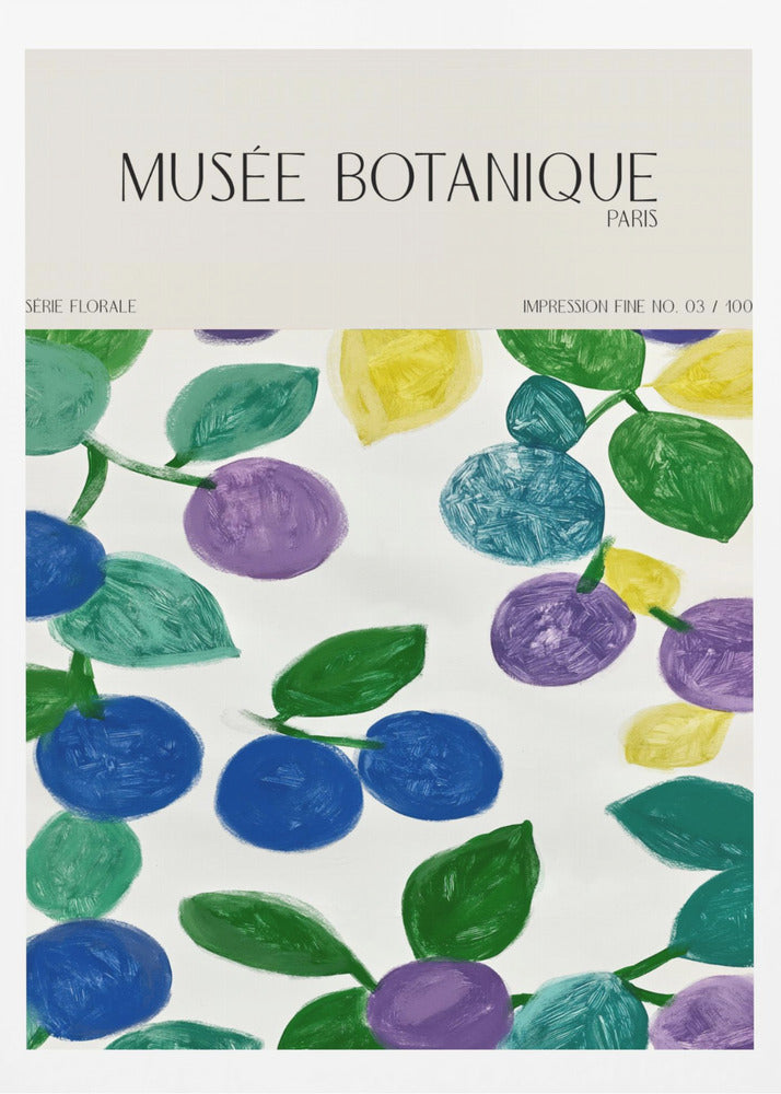 Museebotaniqueno11 | Poster