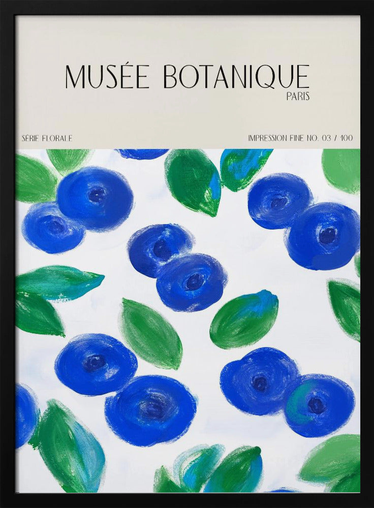Museebotaniqueno12 | Poster