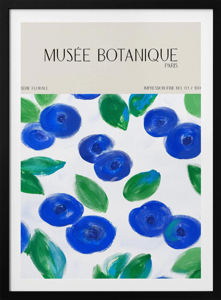 Museebotaniqueno12 | Poster
