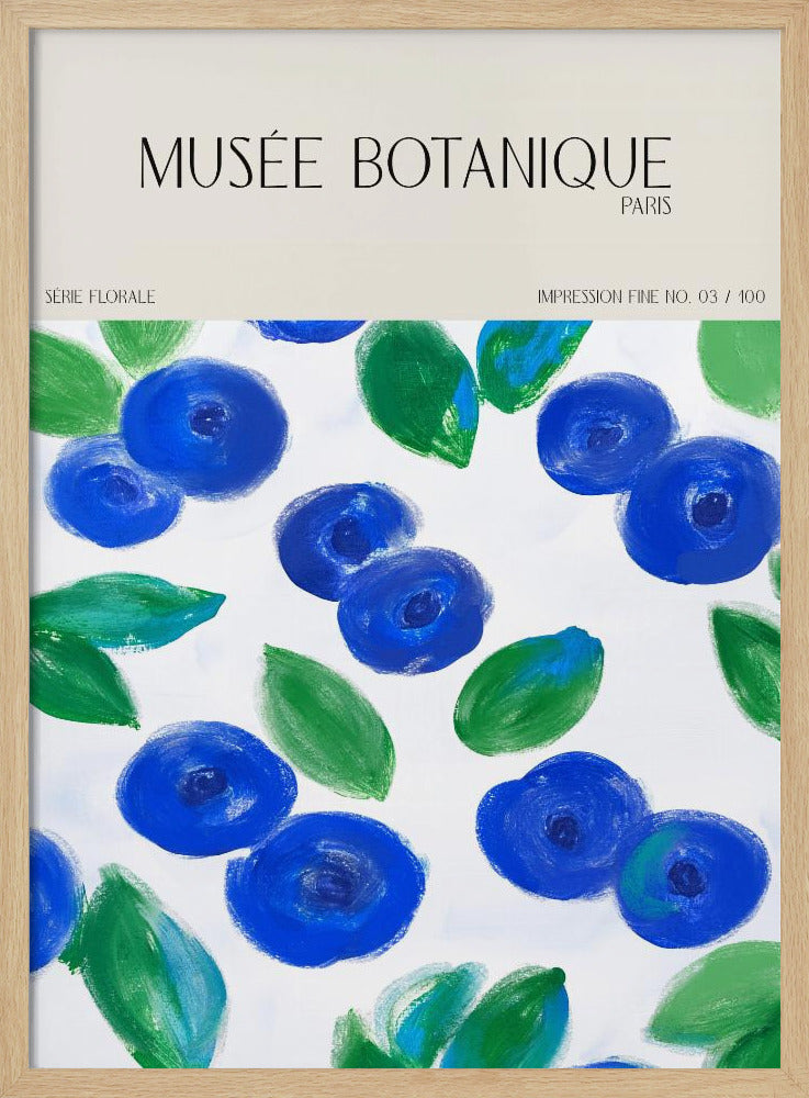 Museebotaniqueno12 | Poster