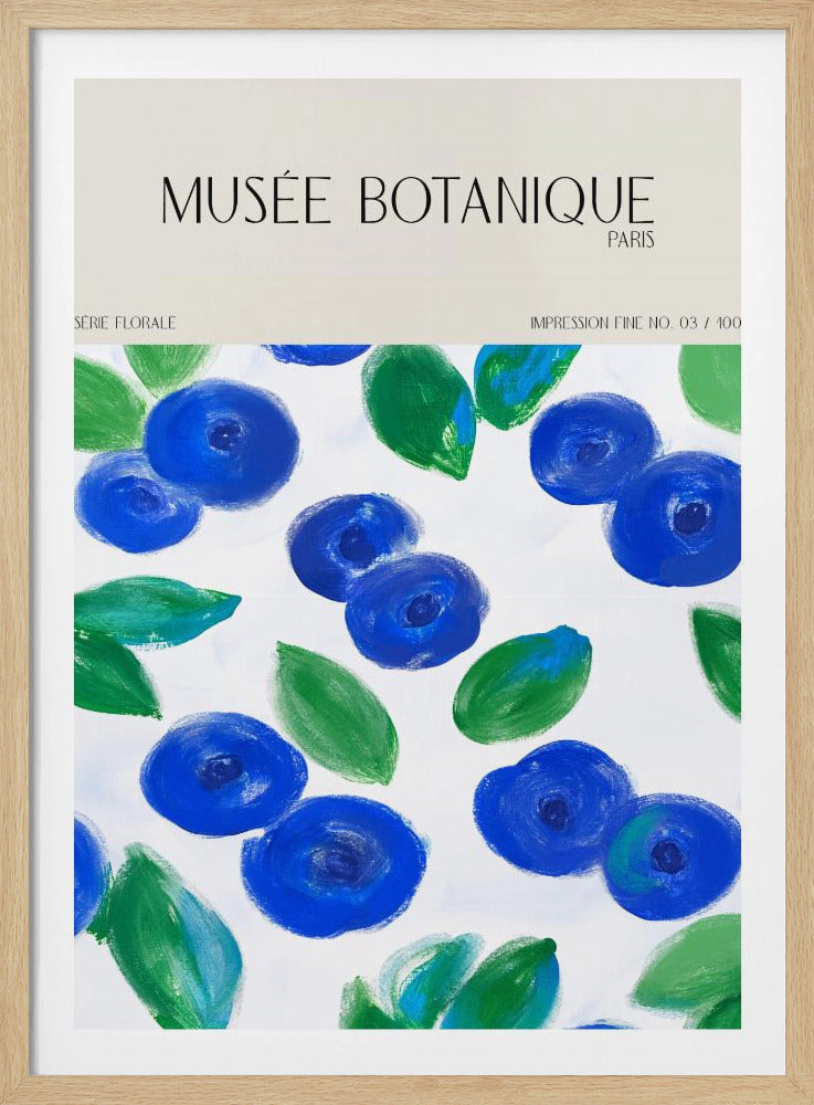 Museebotaniqueno12 | Poster
