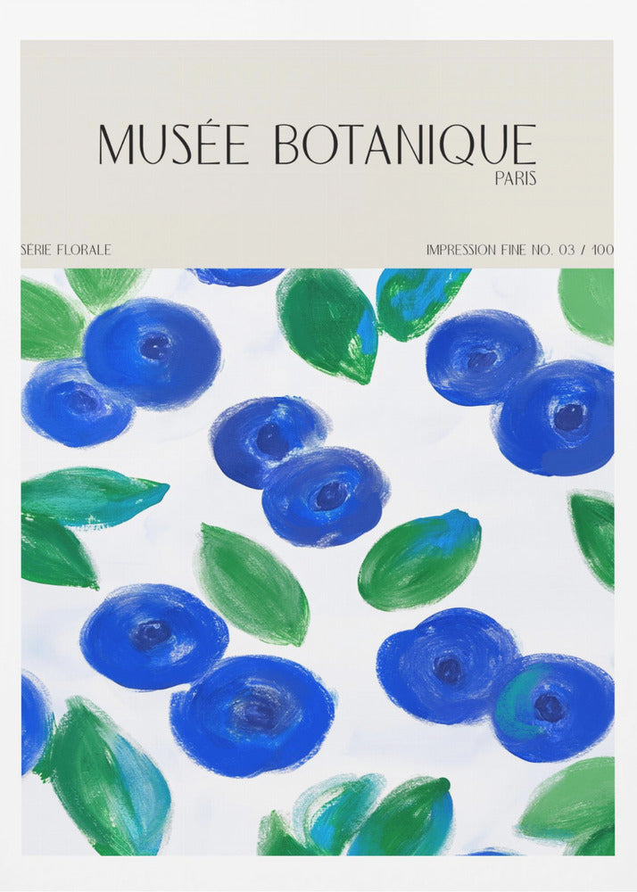 Museebotaniqueno12 | Poster