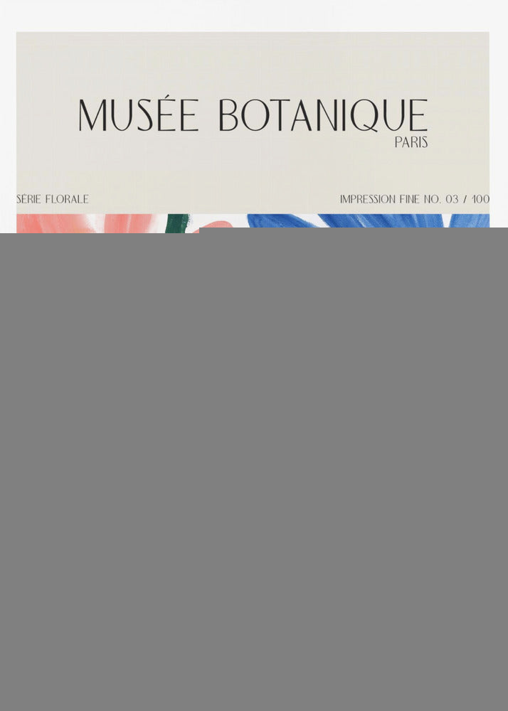 Museebotaniqueno13 | Poster