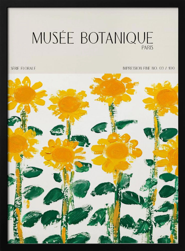 Museebotaniqueno17 | Poster