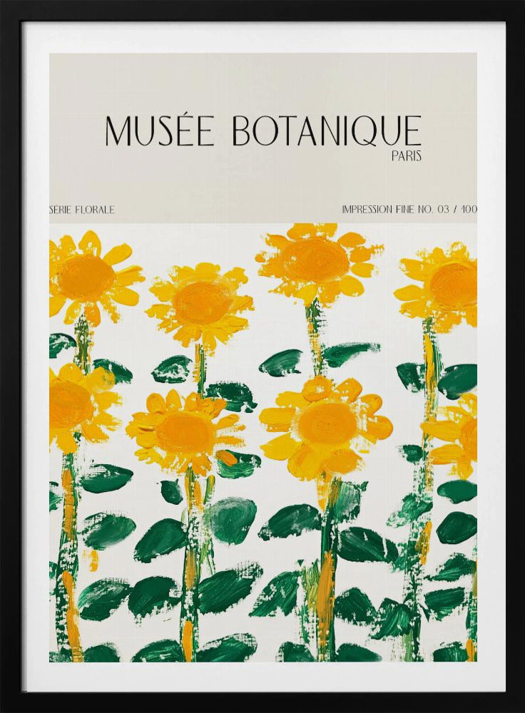 Museebotaniqueno17 | Poster