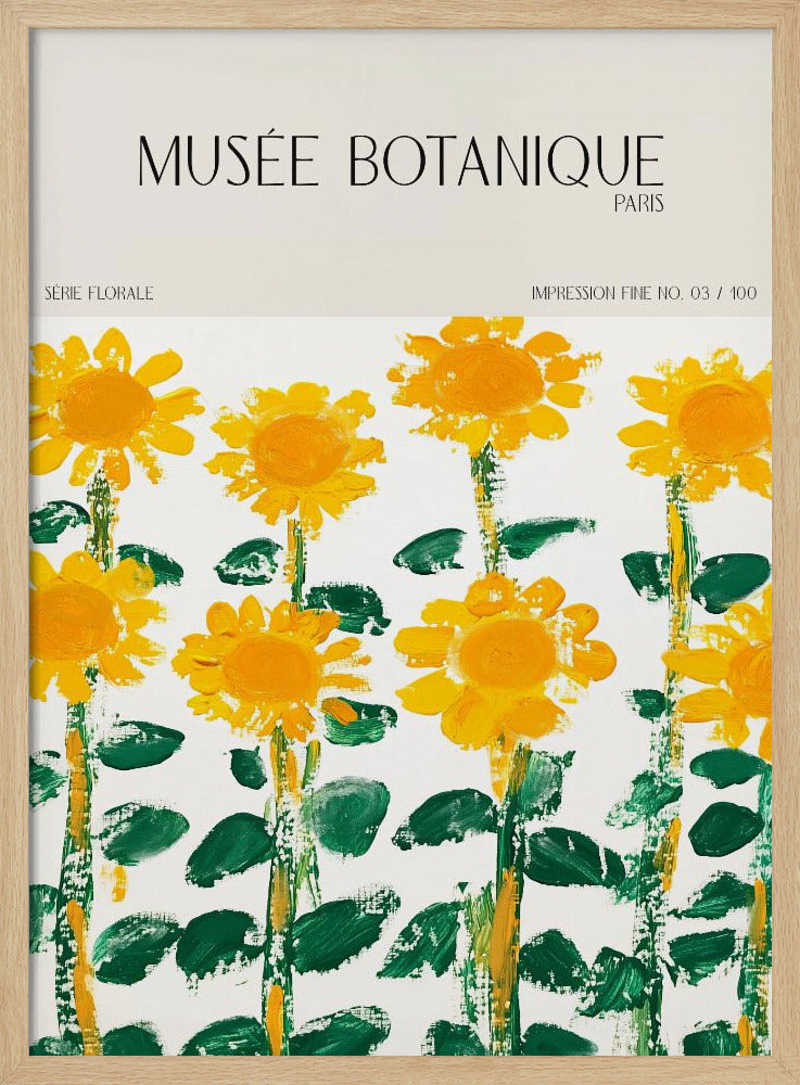 Museebotaniqueno17 | Poster