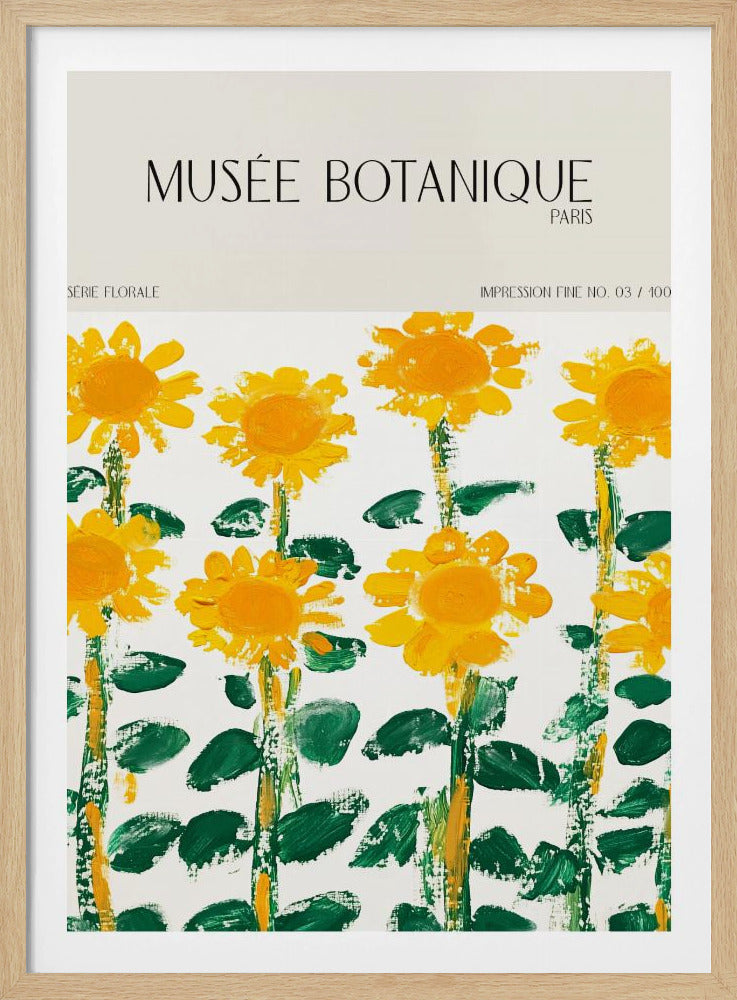 Museebotaniqueno17 | Poster