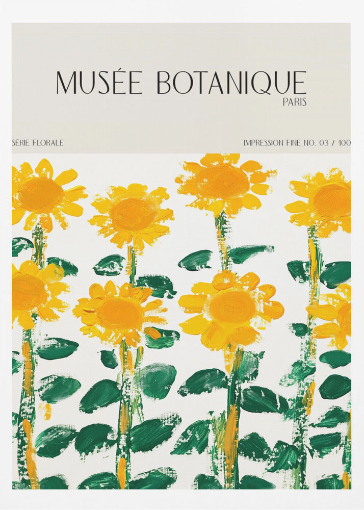 Museebotaniqueno17 | Poster