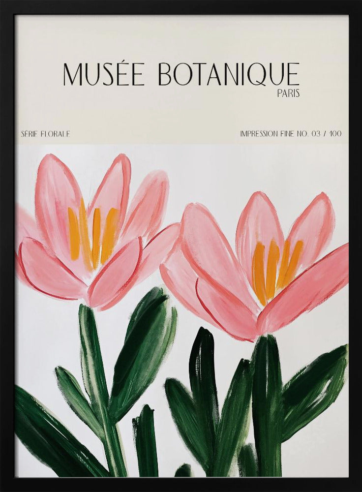 Museebotaniqueno18 | Poster