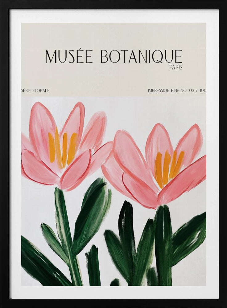 Museebotaniqueno18 | Poster