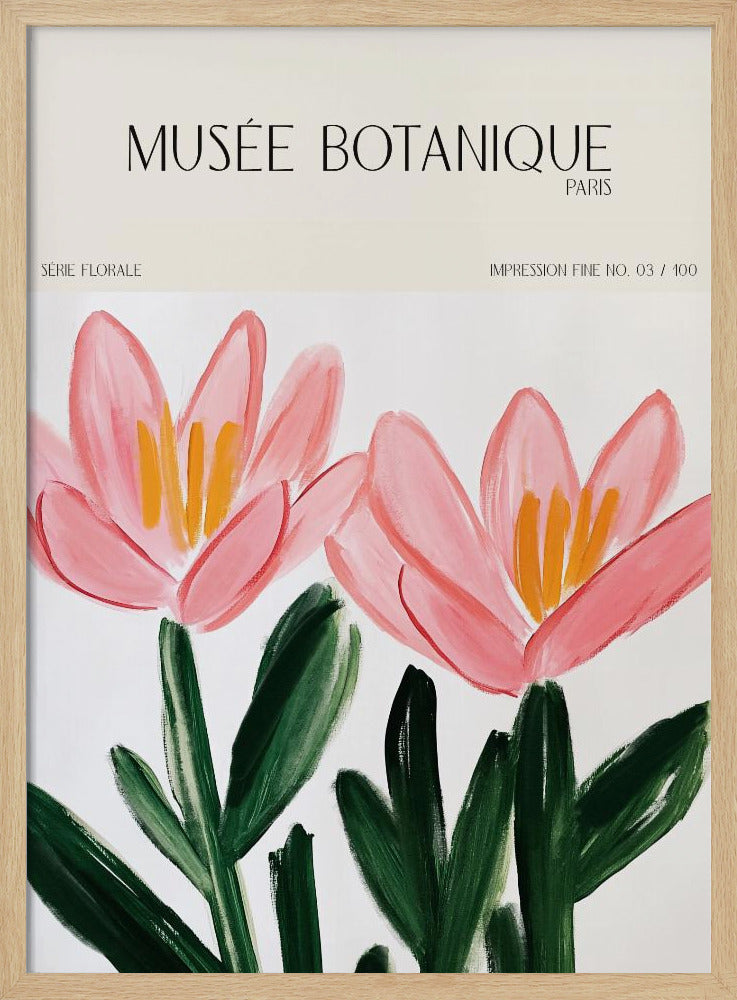 Museebotaniqueno18 | Poster