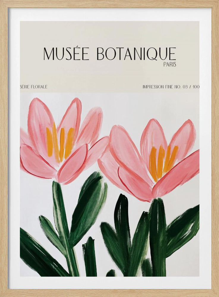 Museebotaniqueno18 | Poster