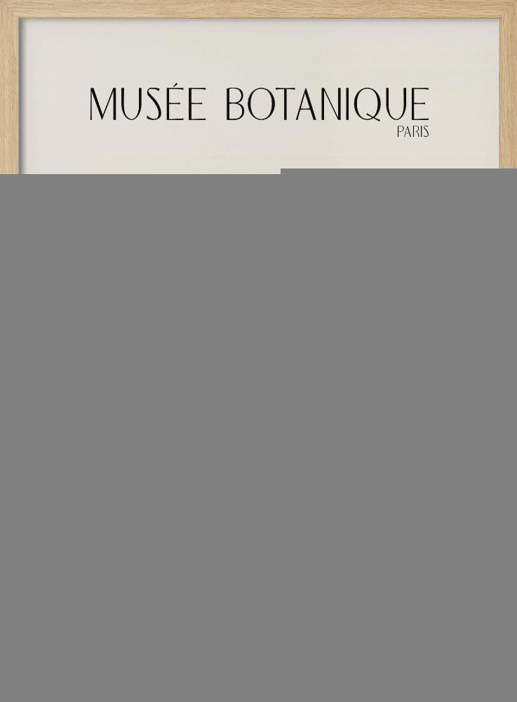 Museebotaniqueno19 | Poster
