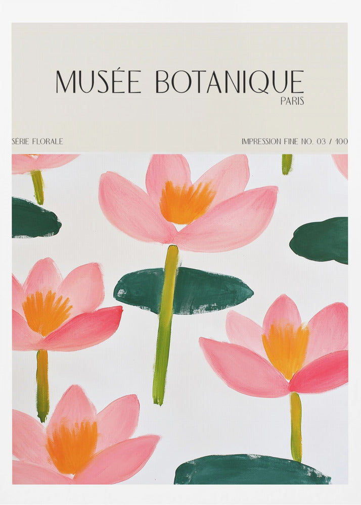 Museebotaniqueno19 | Poster