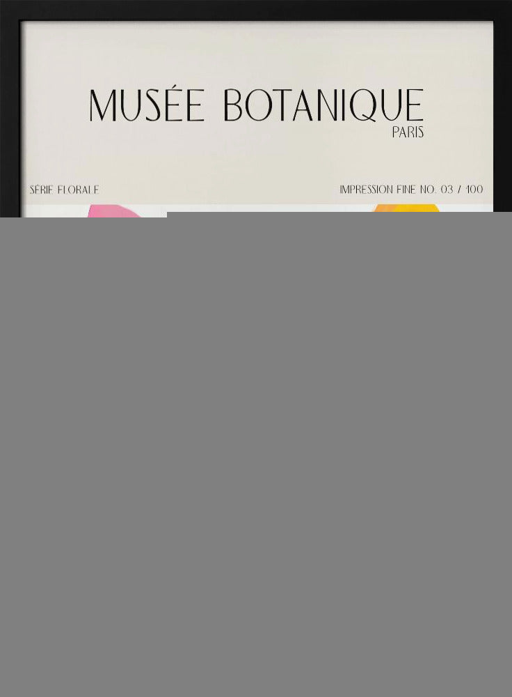 Museebotaniqueno20 | Poster