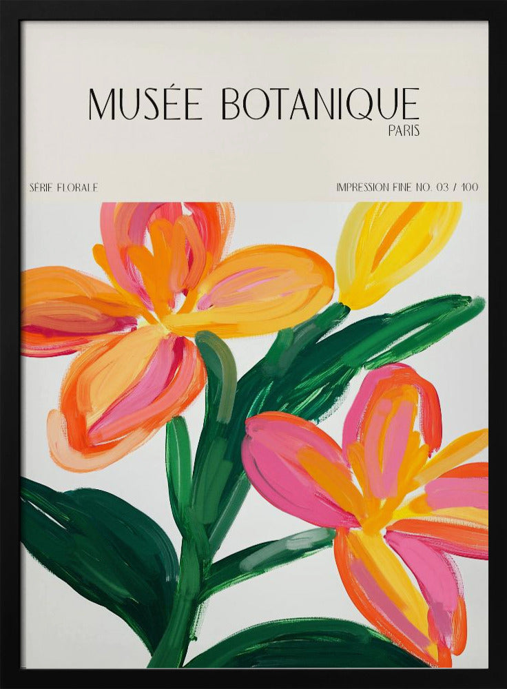 Museebotaniqueno23 | Poster