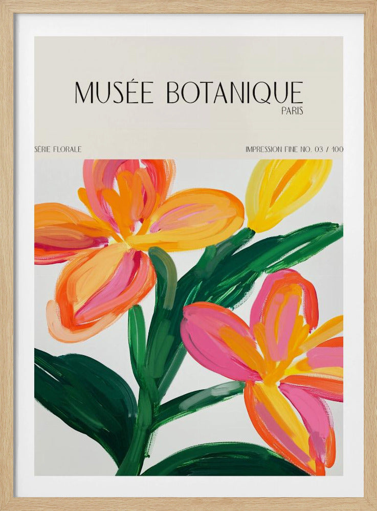 Museebotaniqueno23 | Poster