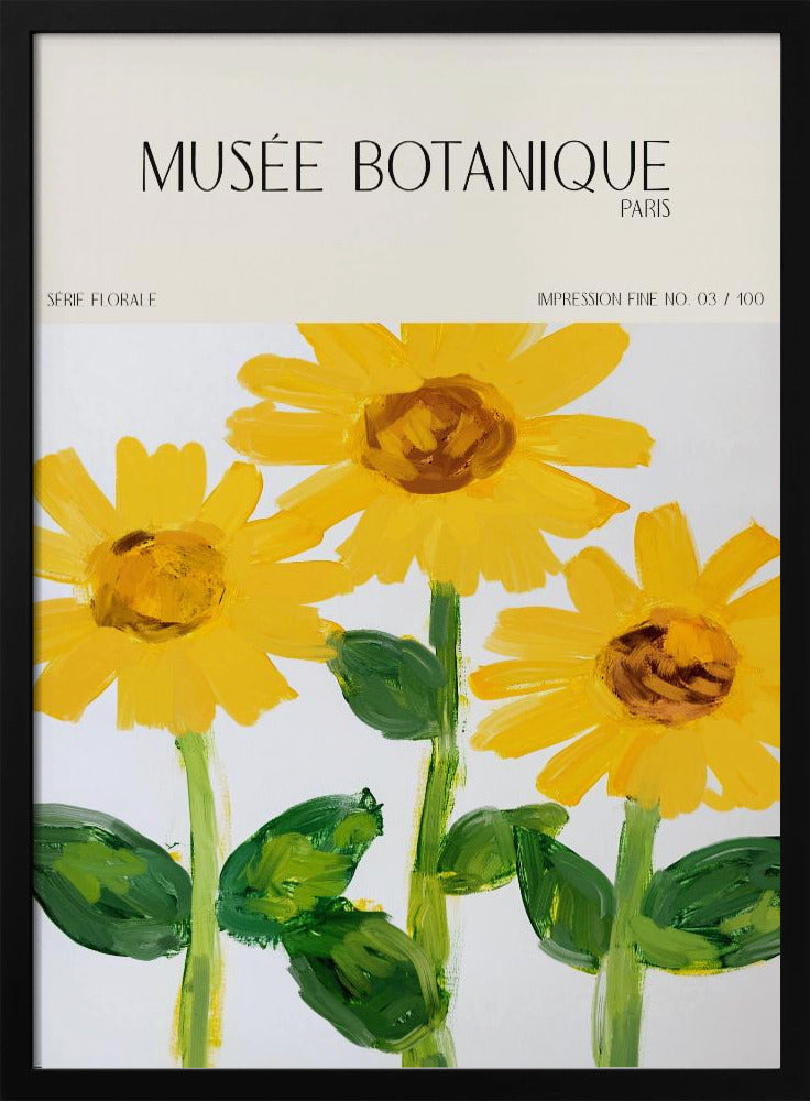 Museebotaniqueno27 | Poster