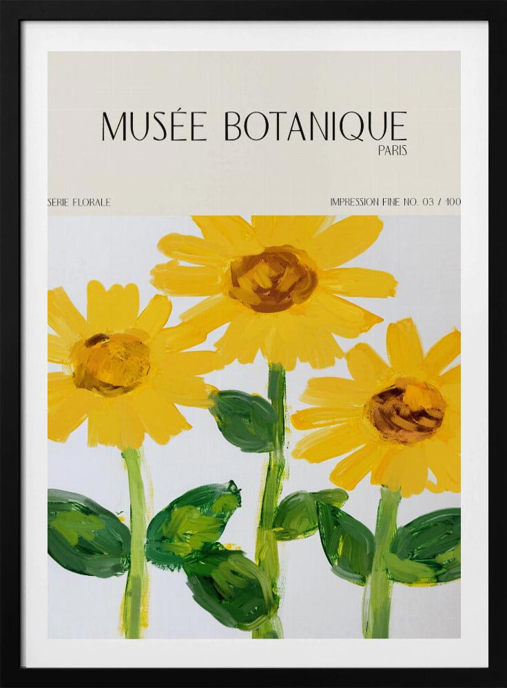 Museebotaniqueno27 | Poster