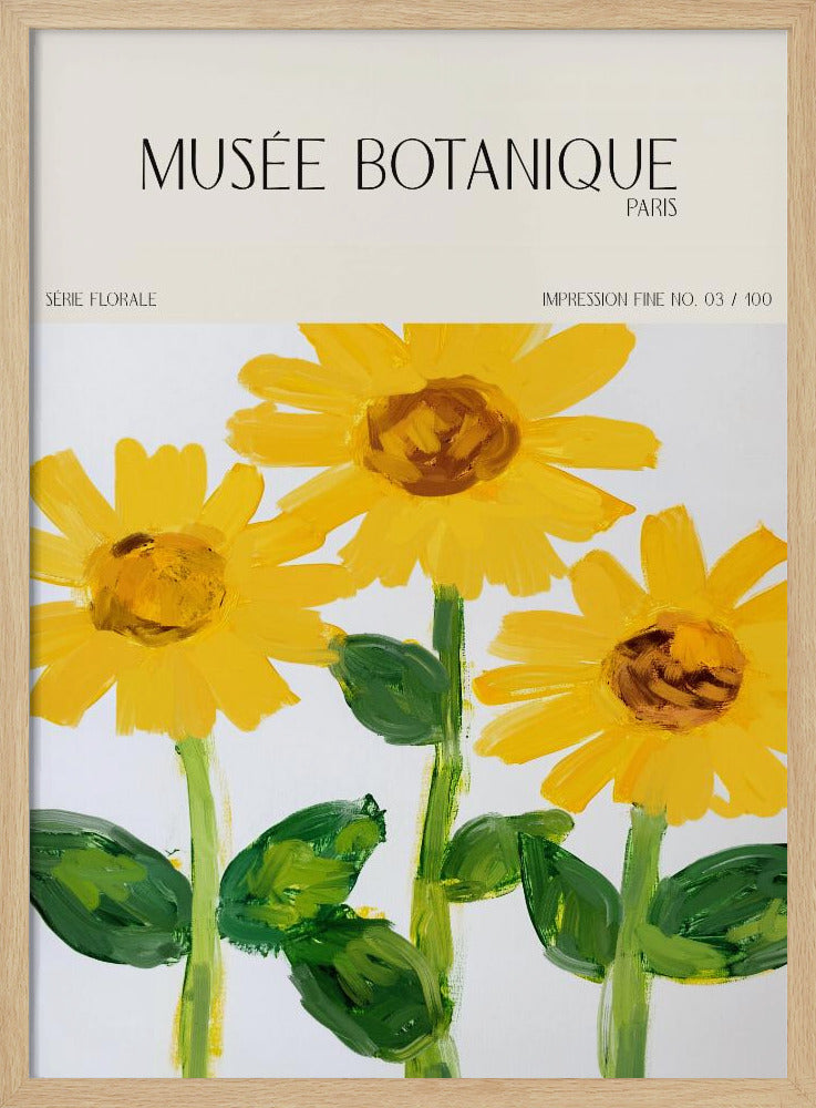 Museebotaniqueno27 | Poster