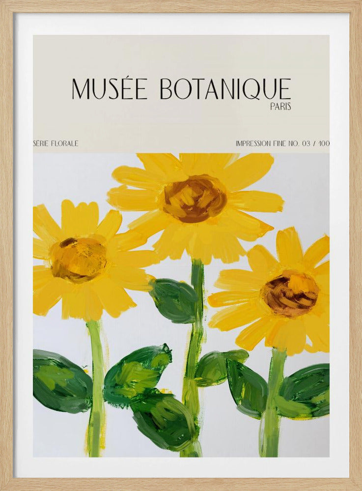 Museebotaniqueno27 | Poster