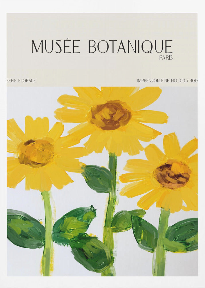 Museebotaniqueno27 | Poster