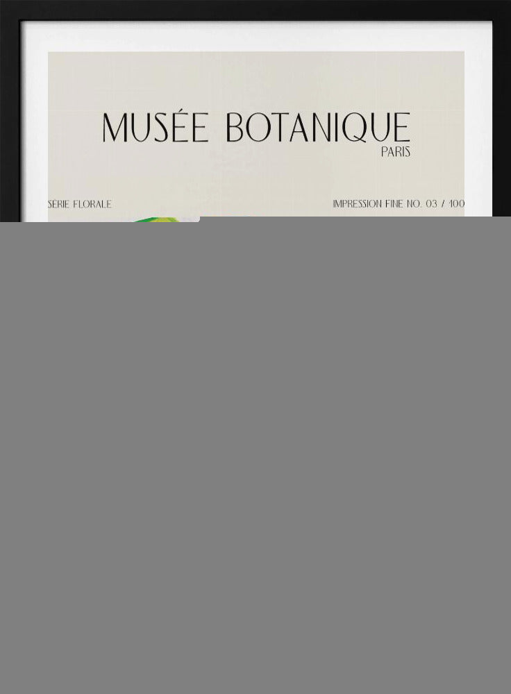 Museebotaniqueno28 | Poster
