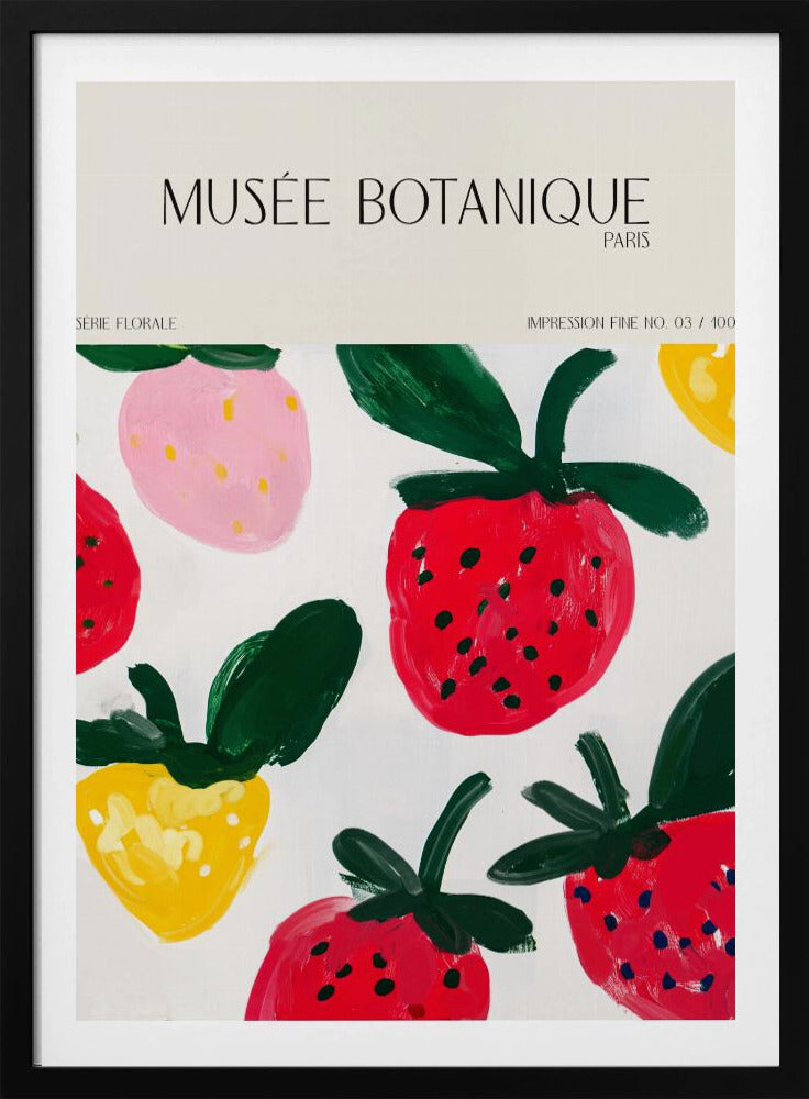 Museebotaniqueno35 | Poster