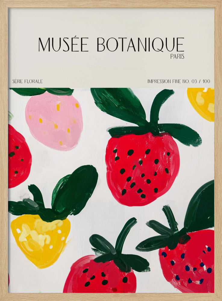 Museebotaniqueno35 | Poster